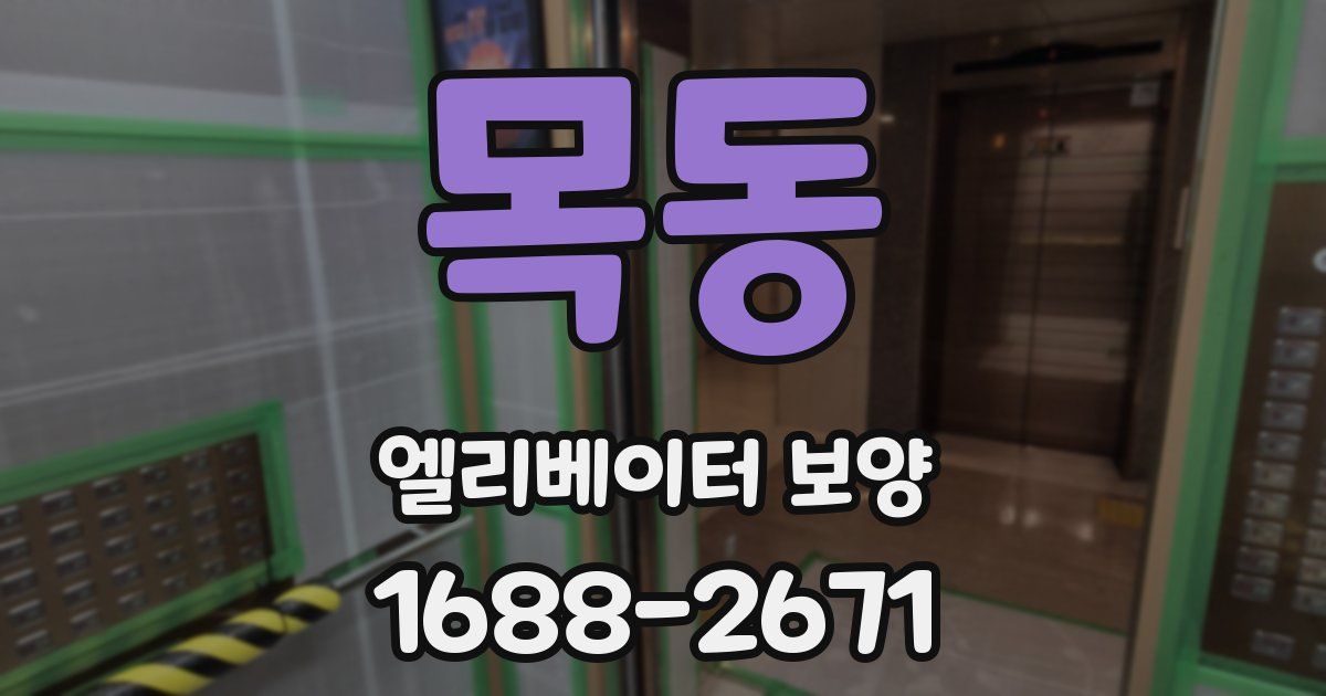 목동 엘리베이터 보양