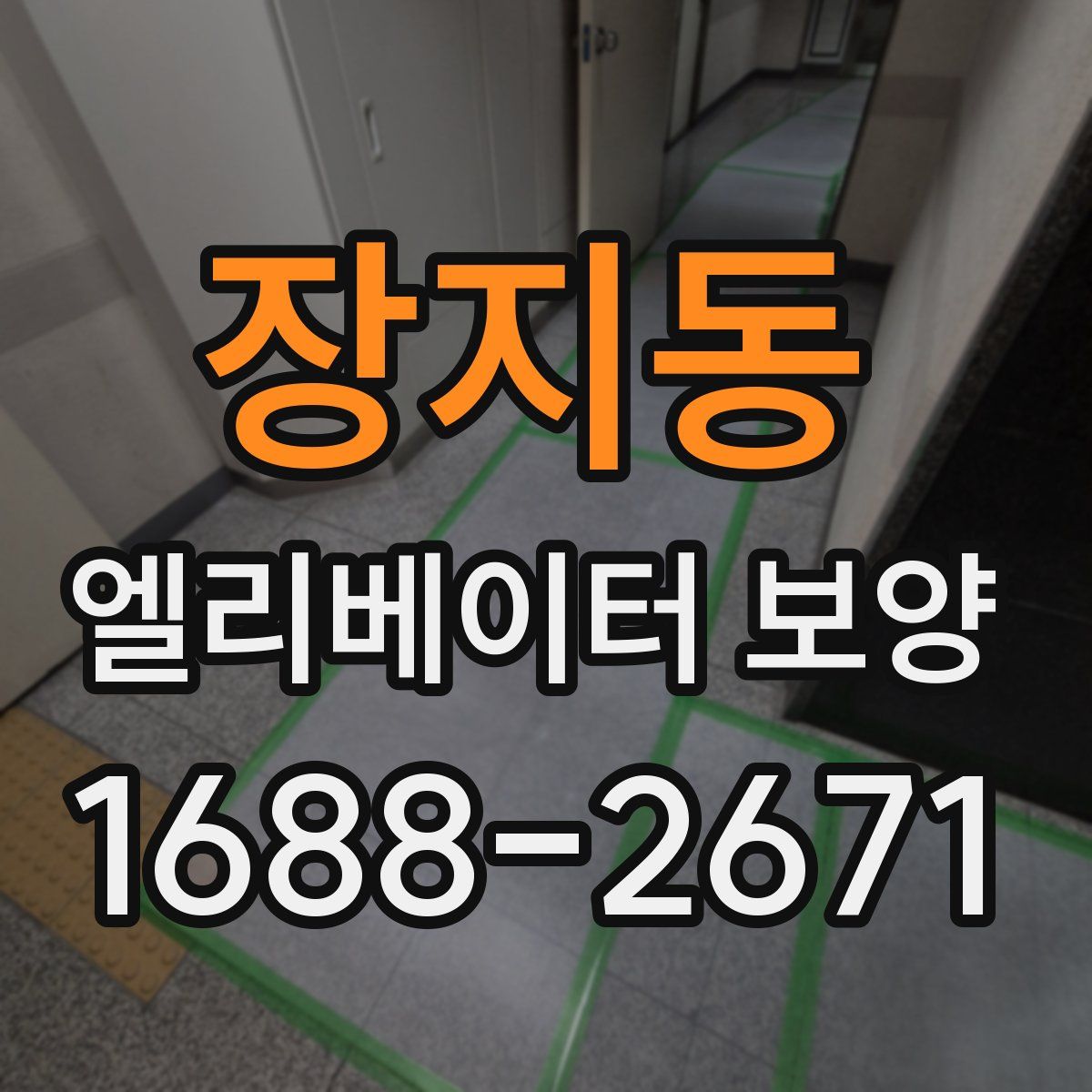 장지동 엘리베이터 보양
