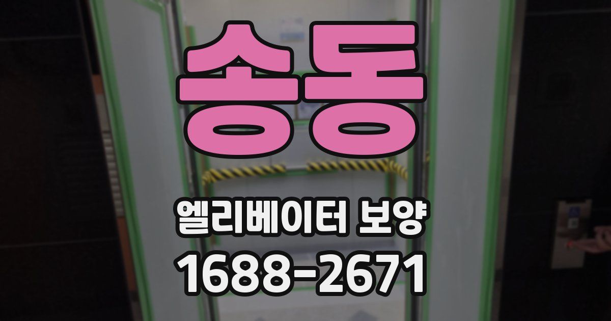 송동 엘리베이터 보양
