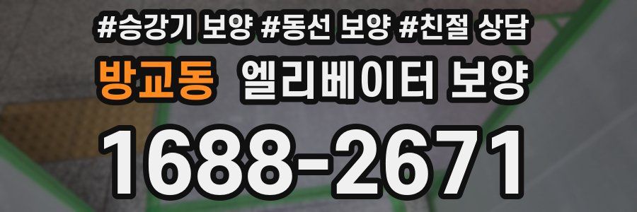 방교동 엘리베이터 보양