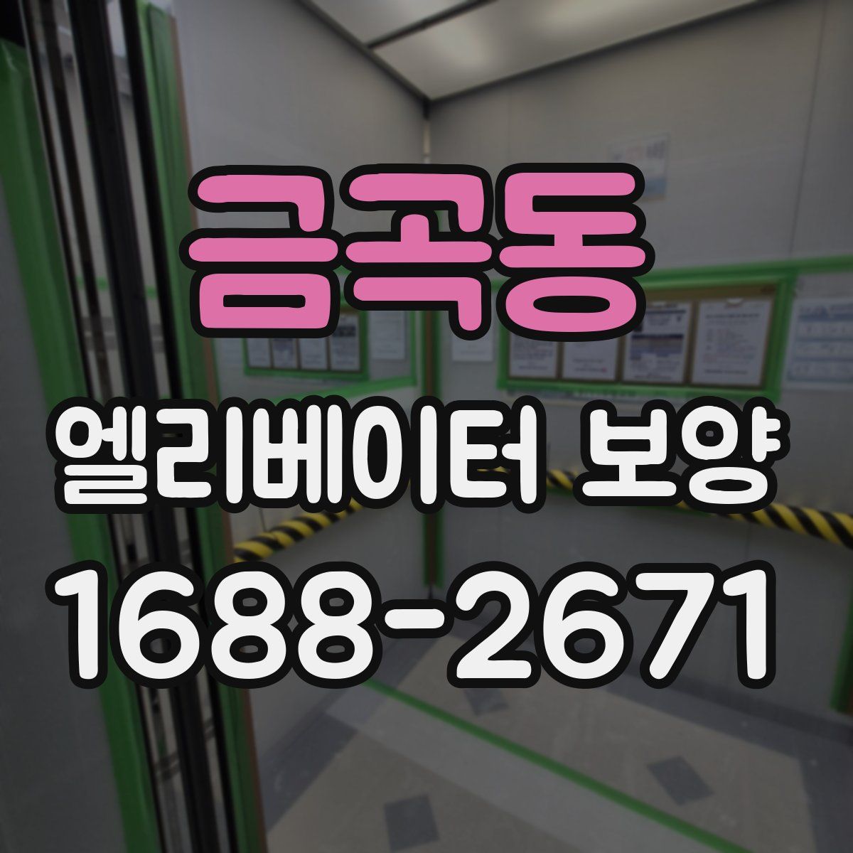 금곡동 엘리베이터 보양