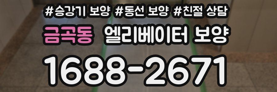 금곡동 엘리베이터 보양