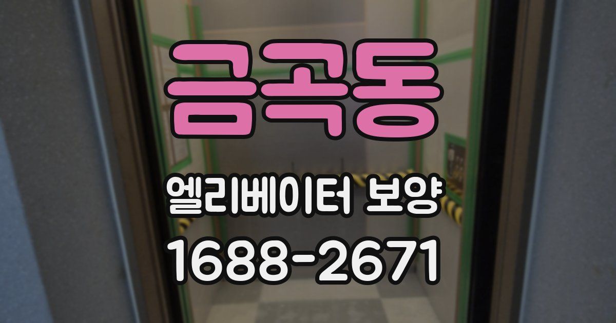 금곡동 엘리베이터 보양