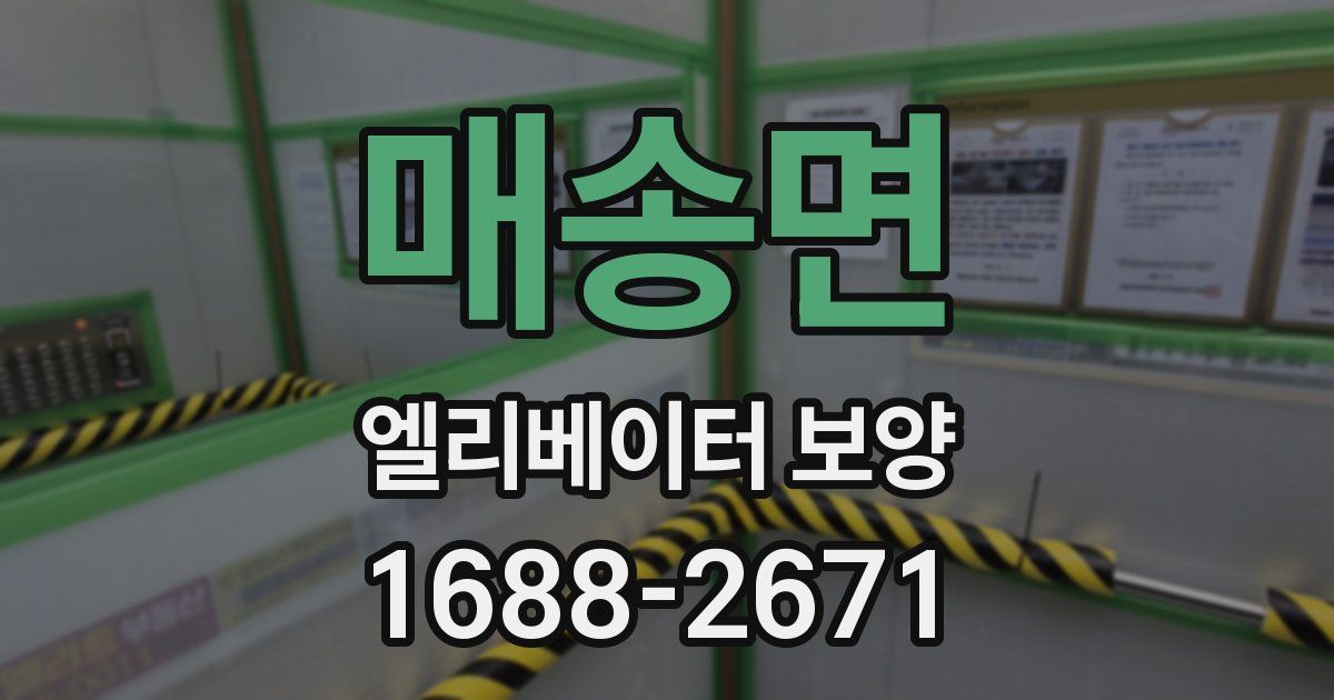 매송면 엘리베이터 보양
