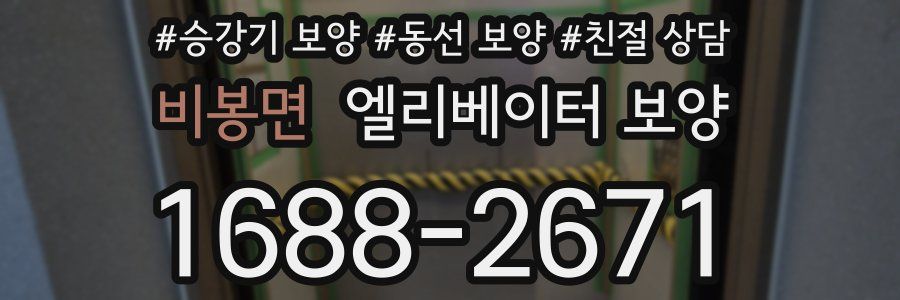 비봉면 엘리베이터 보양