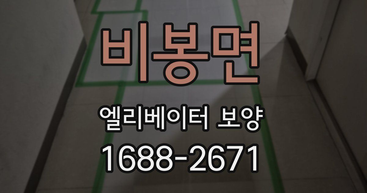 비봉면 엘리베이터 보양