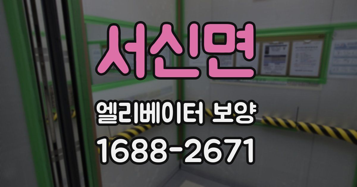 서신면 엘리베이터 보양
