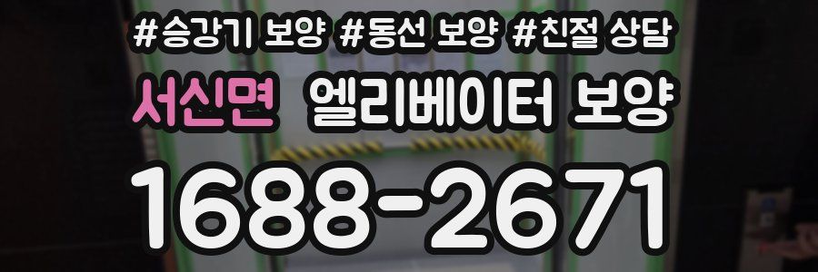 서신면 엘리베이터 보양