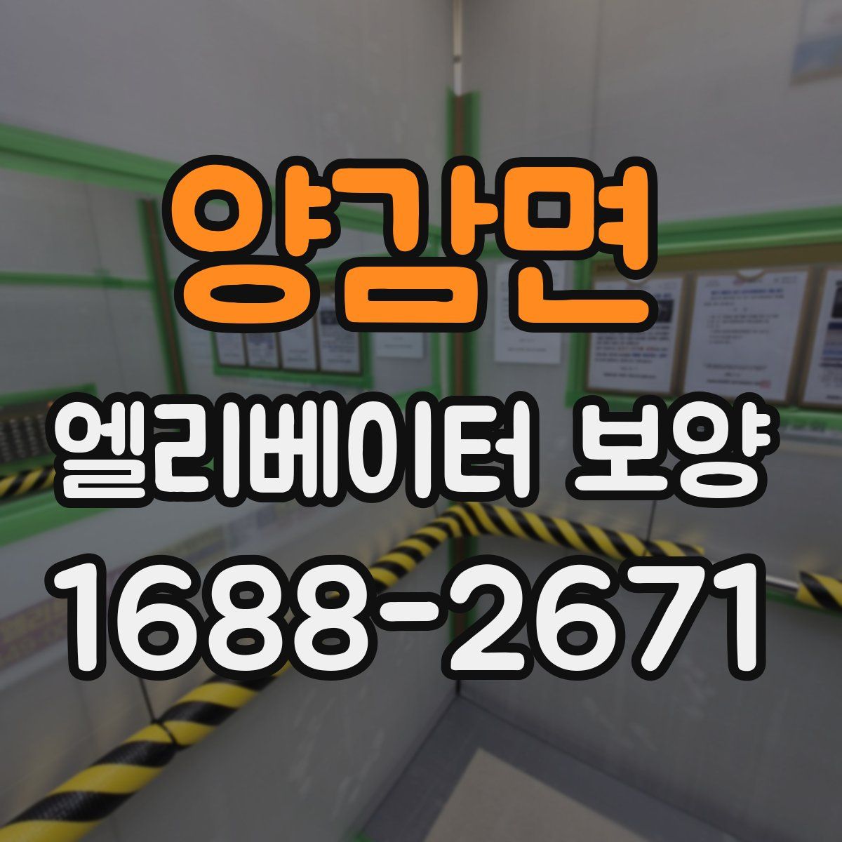 양감면 엘리베이터 보양