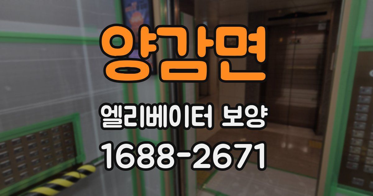 양감면 엘리베이터 보양