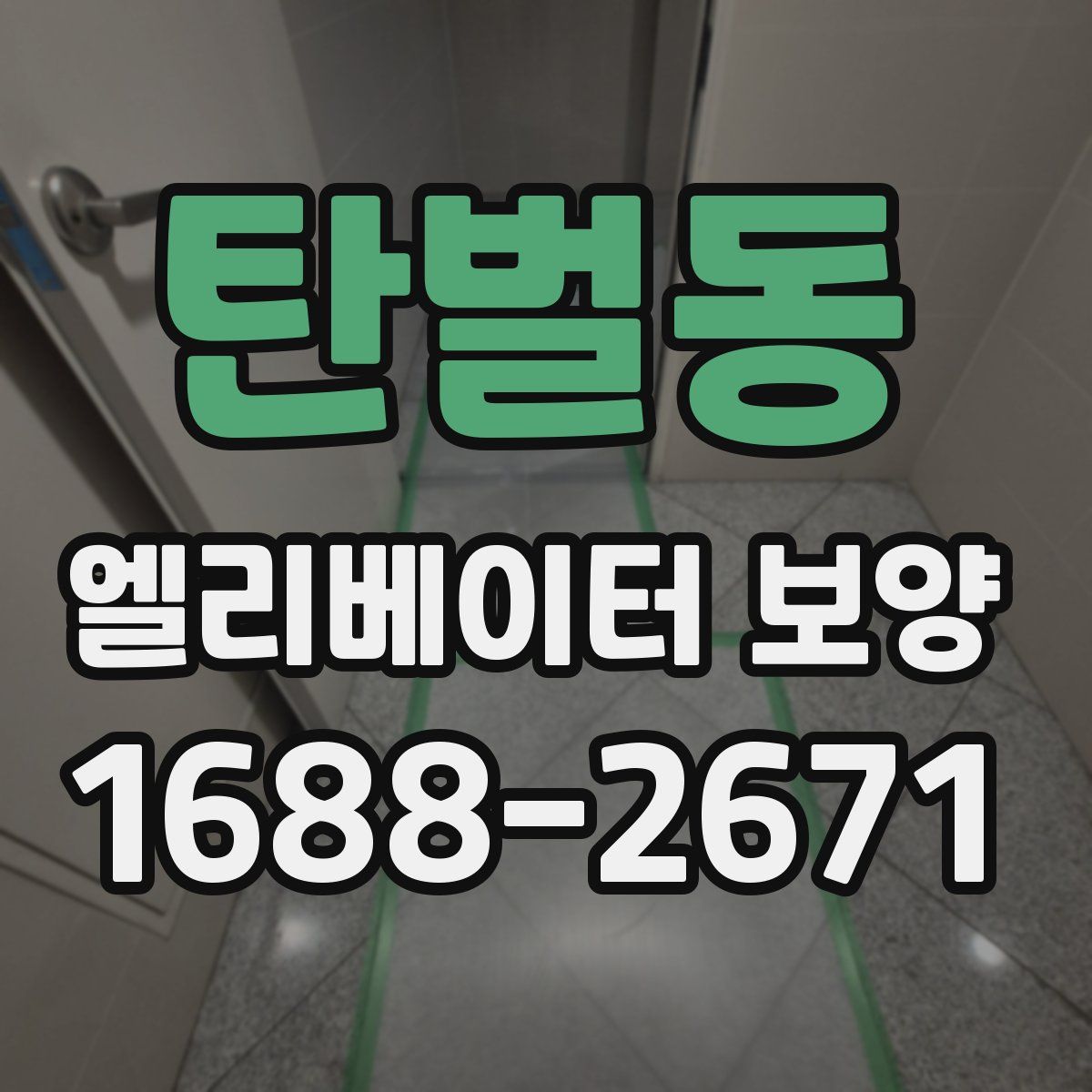 탄벌동 엘리베이터 보양