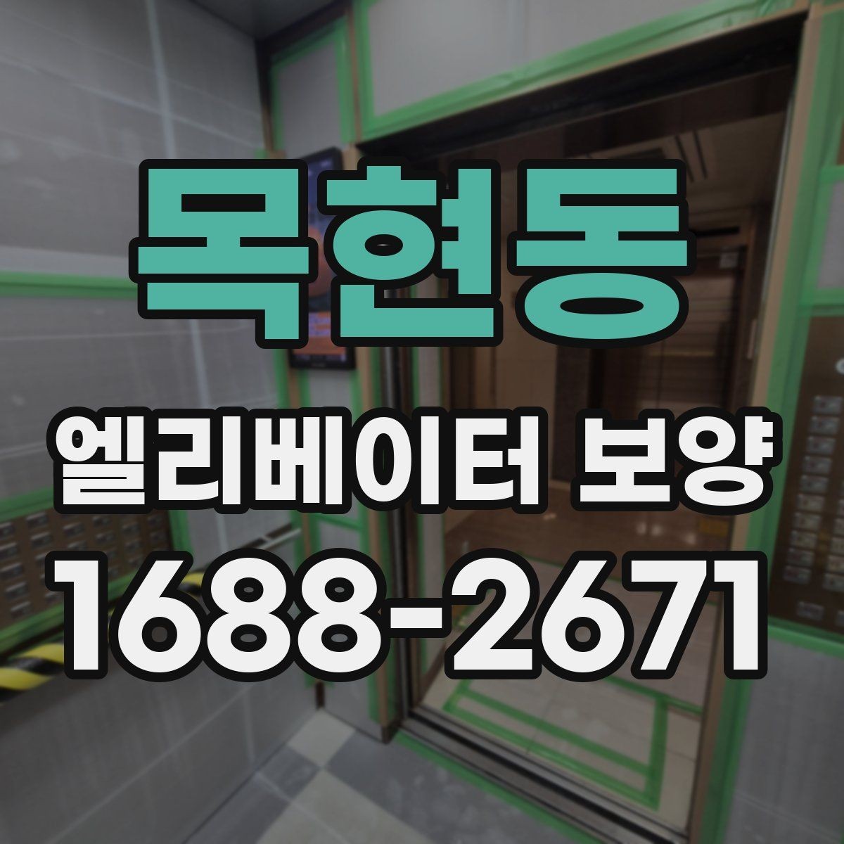 목현동 엘리베이터 보양 종류별 특징과 활용 상황