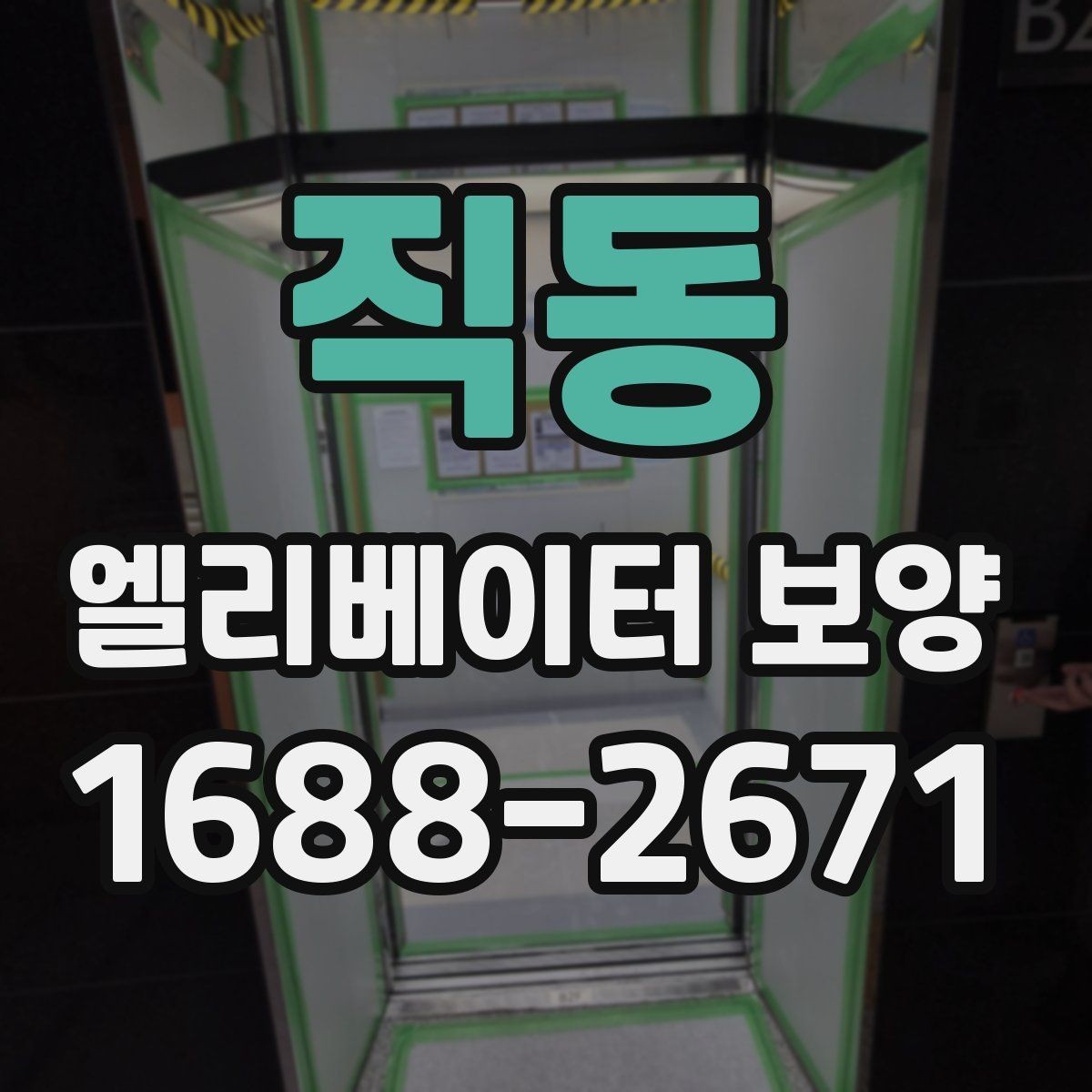 직동 엘리베이터 보양 시공 방식별 적용 상황 비교