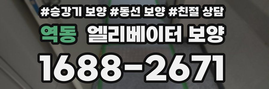 역동 엘리베이터 보양