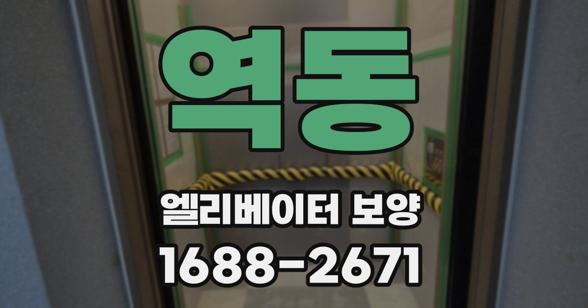 역동 엘리베이터 보양
