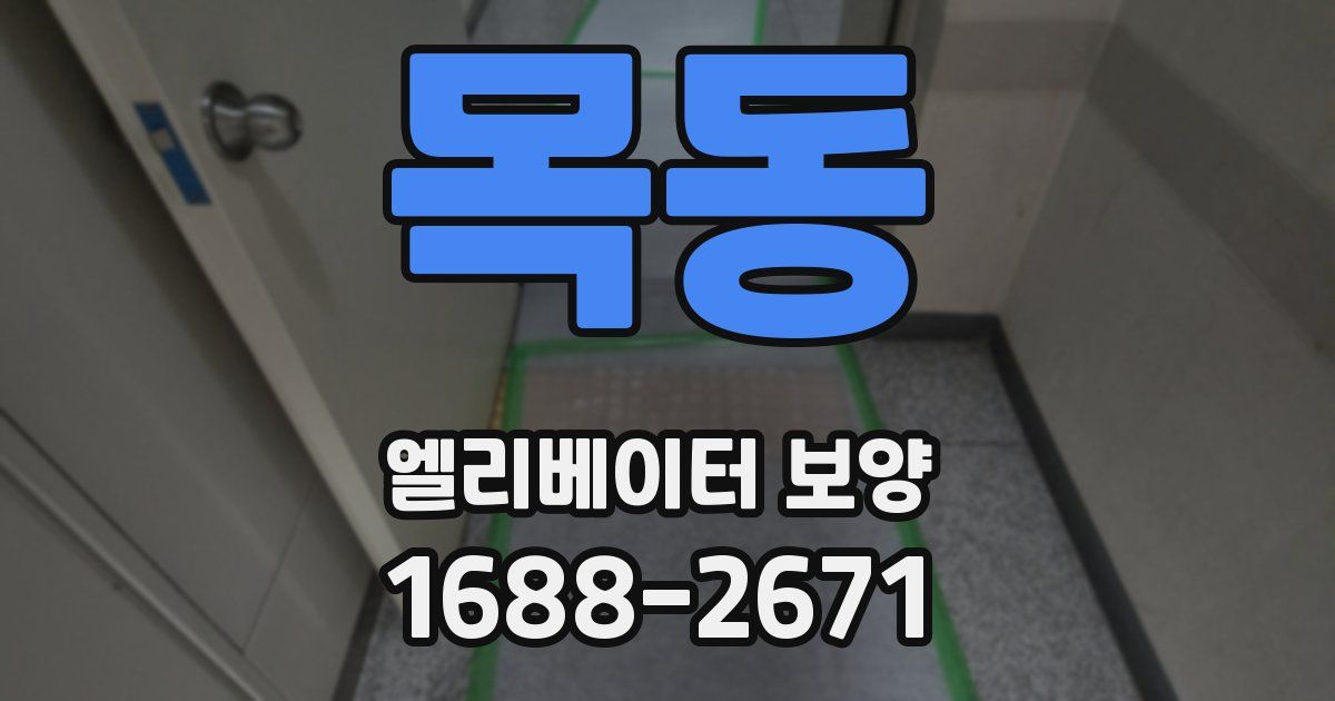 목동 엘리베이터 보양