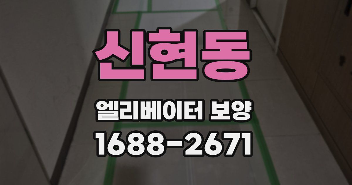 신현동 엘리베이터 보양