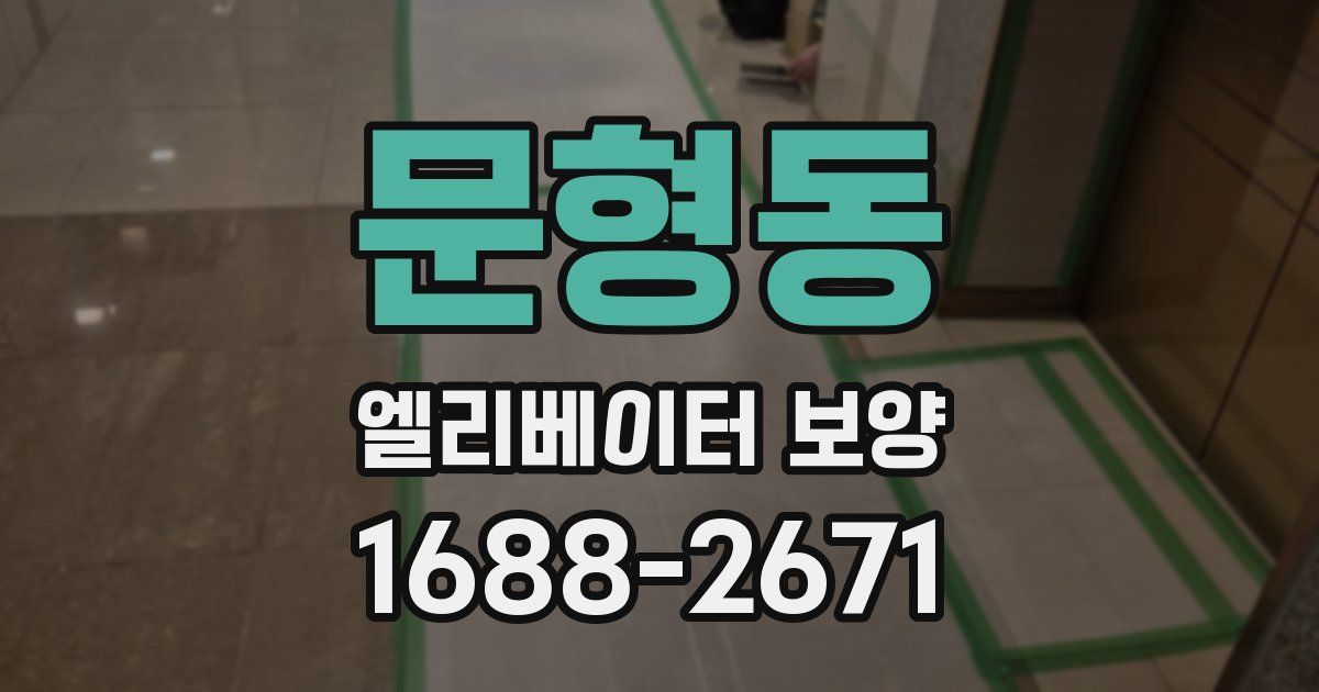문형동 엘리베이터 보양