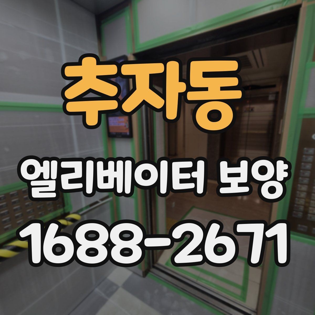 추자동 엘리베이터 보양 종류별 특징과 활용 상황