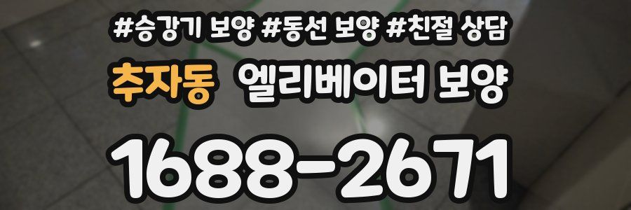 추자동 엘리베이터 보양