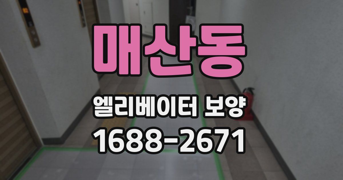 매산동 엘리베이터 보양