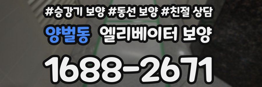 양벌동 엘리베이터 보양