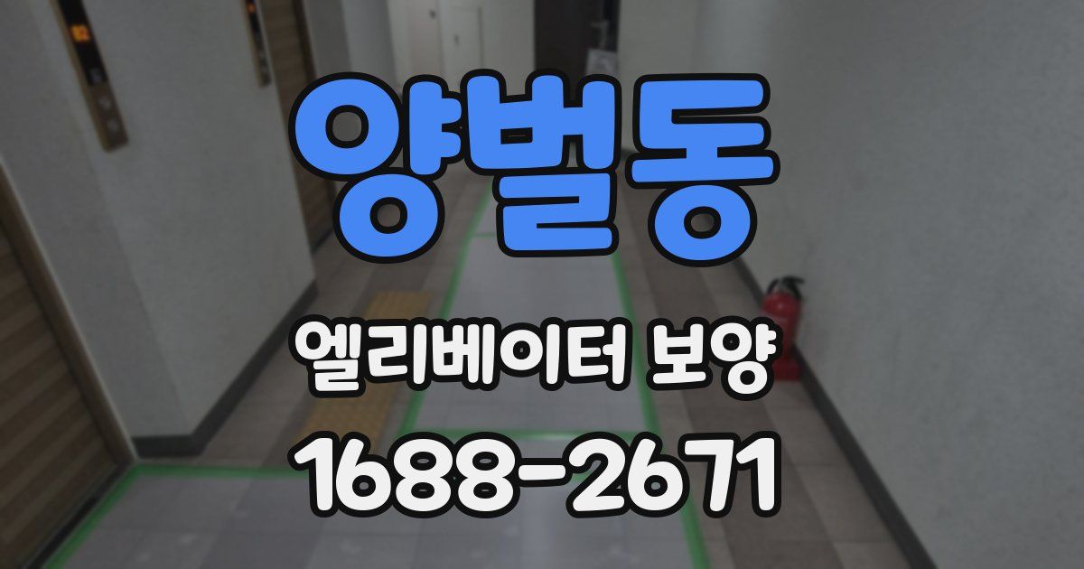 양벌동 엘리베이터 보양