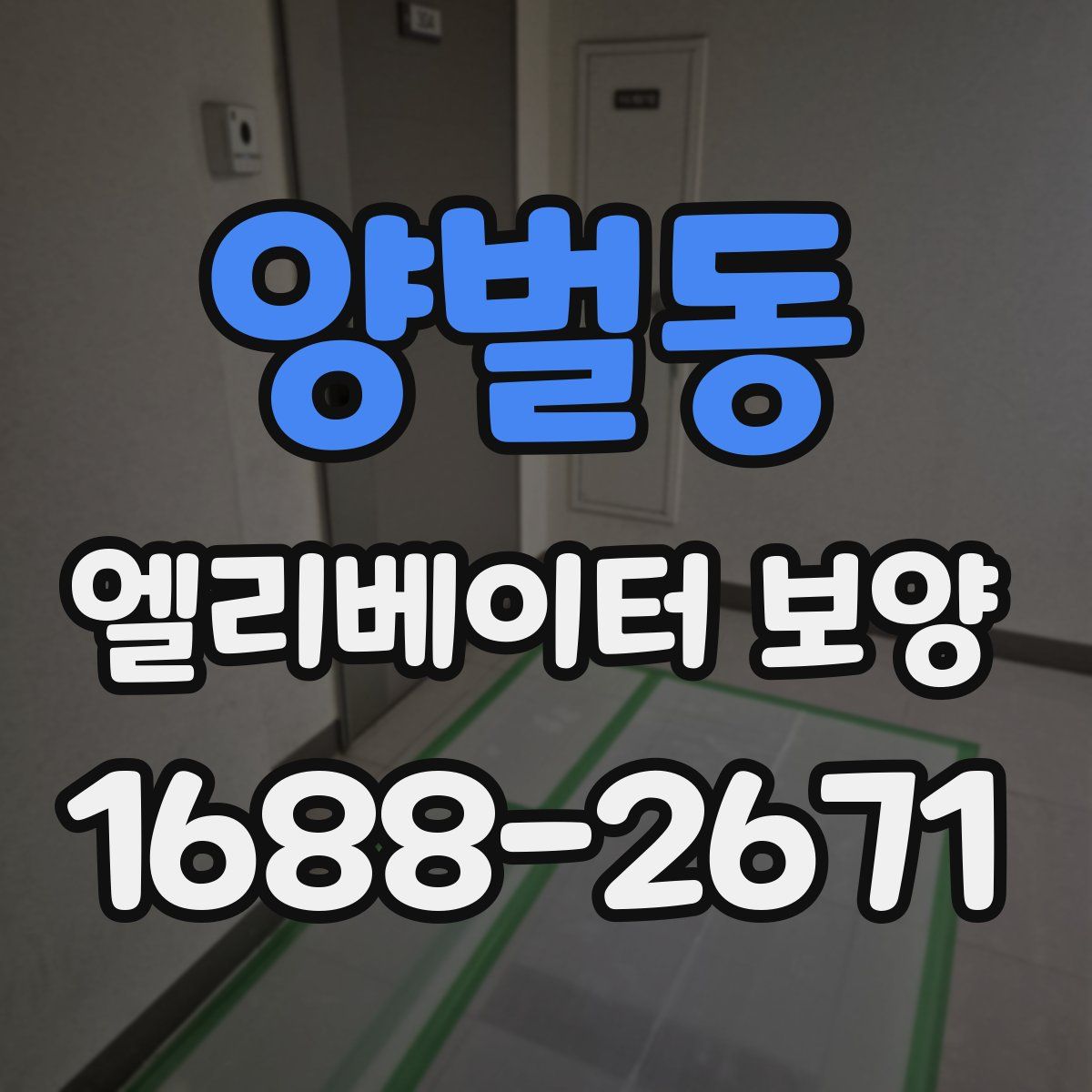 양벌동 엘리베이터 보양