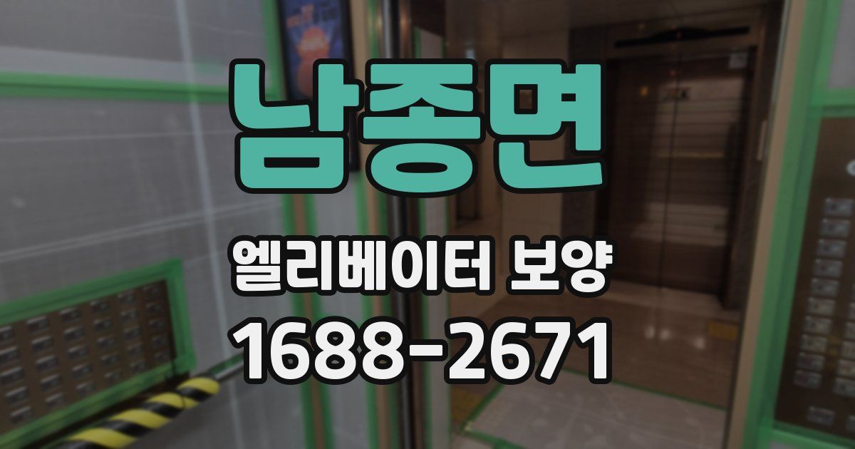 남종면 엘리베이터 보양