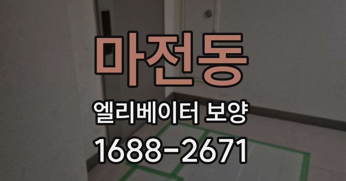마전동 엘리베이터 보양