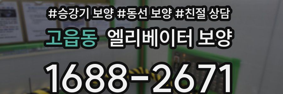 고읍동 엘리베이터 보양