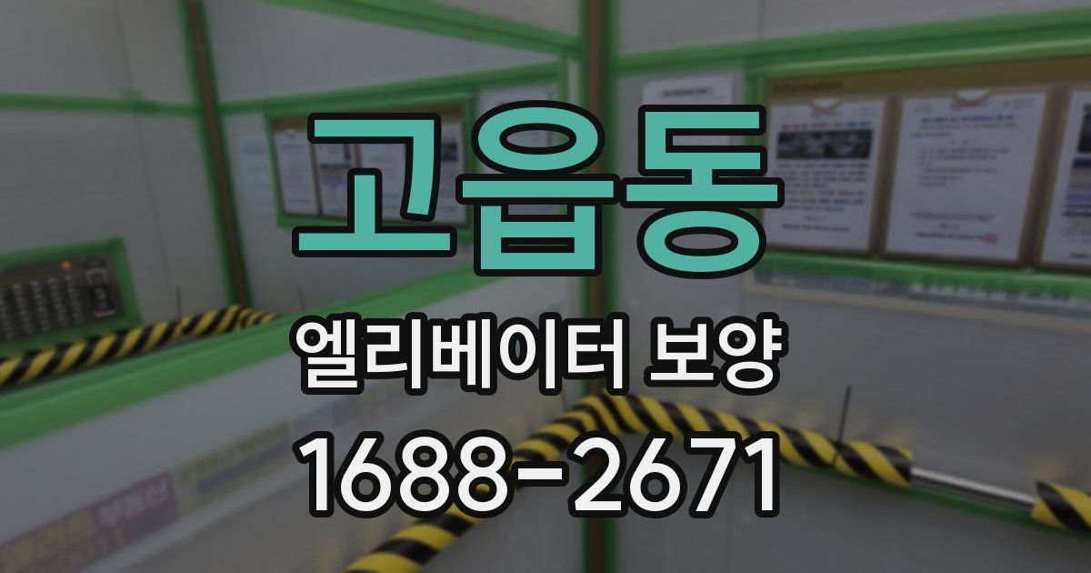 고읍동 엘리베이터 보양