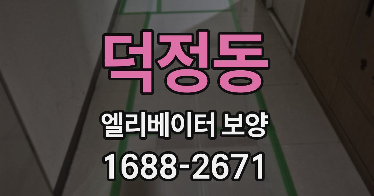 덕정동 엘리베이터 보양