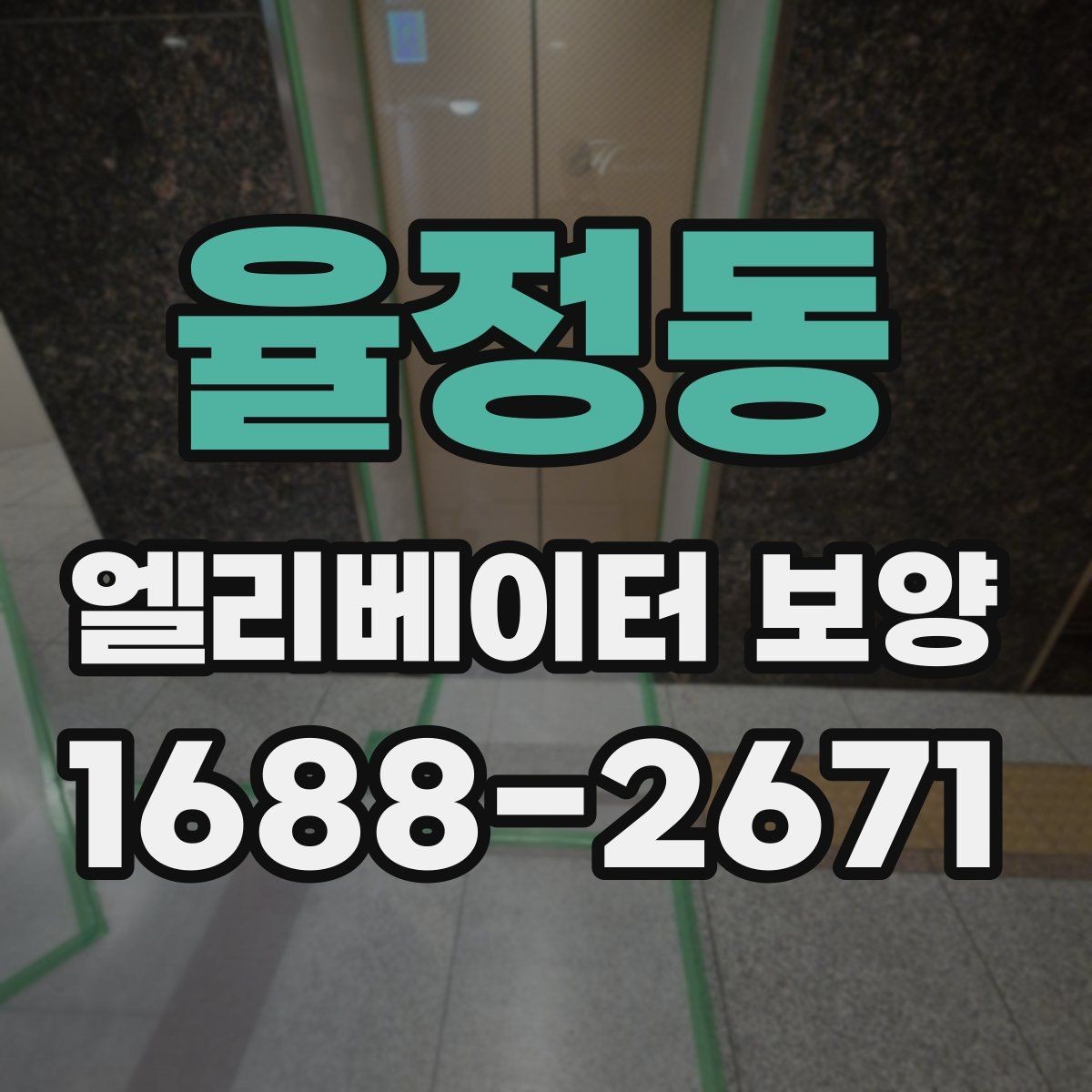 율정동 엘리베이터 보양 자주 쓰는 소재와 특징 비교