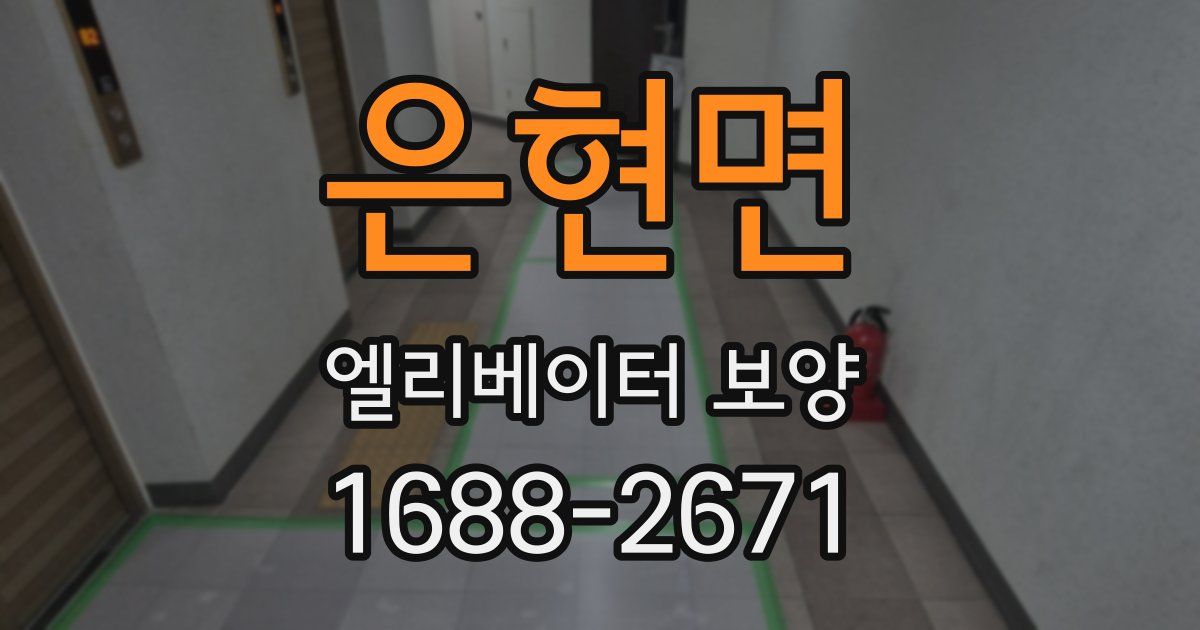 은현면 엘리베이터 보양