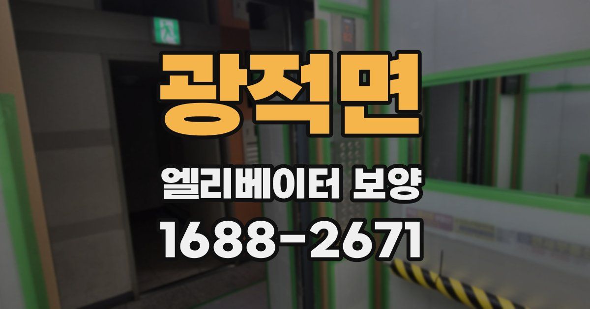 광적면 엘리베이터 보양