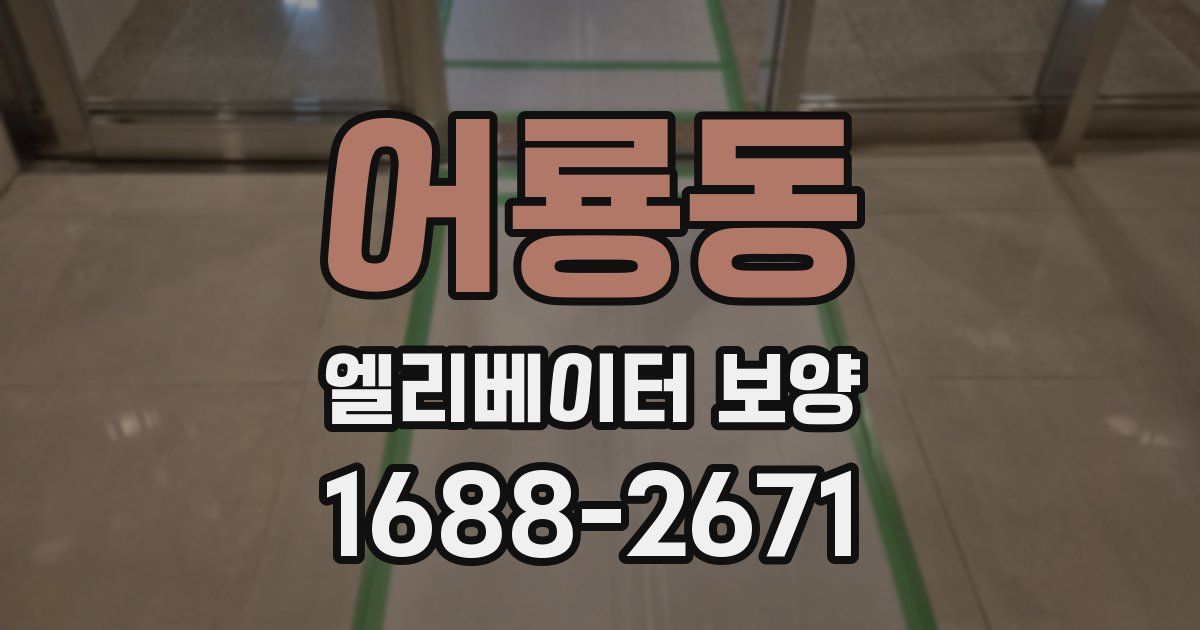 어룡동 엘리베이터 보양