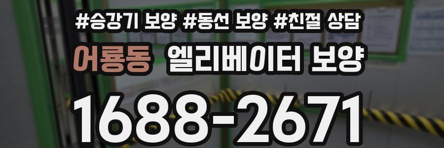 어룡동 엘리베이터 보양