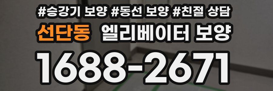 선단동 엘리베이터 보양