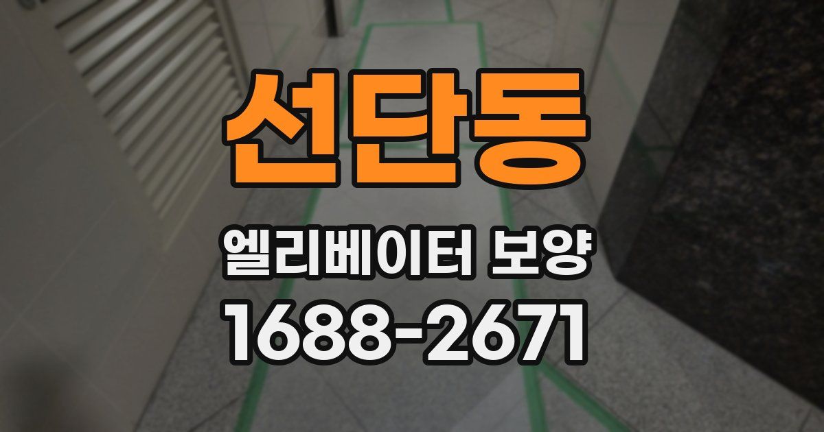 선단동 엘리베이터 보양