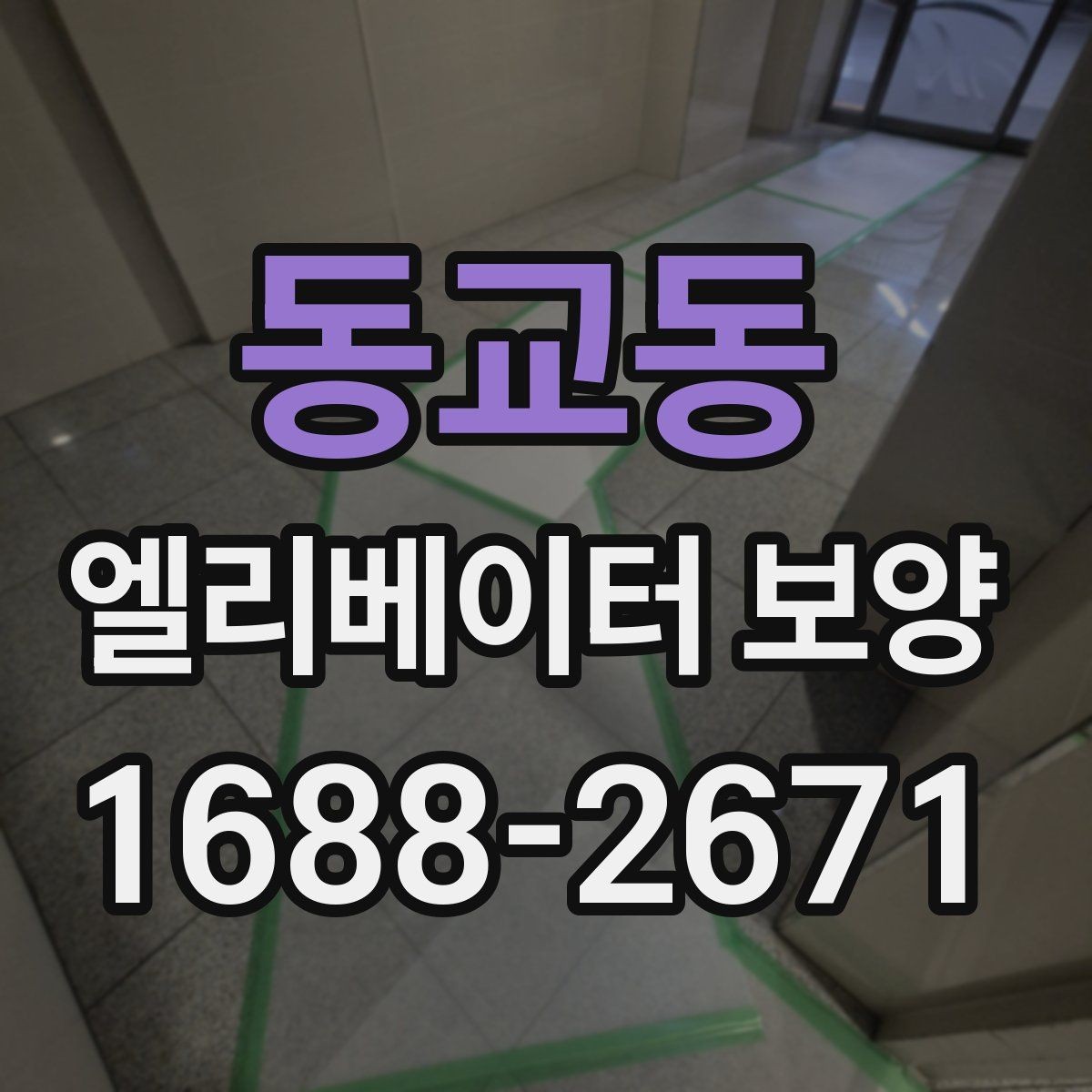 동교동 엘리베이터 보양 설치와 철거의 균형을 맞추는 법