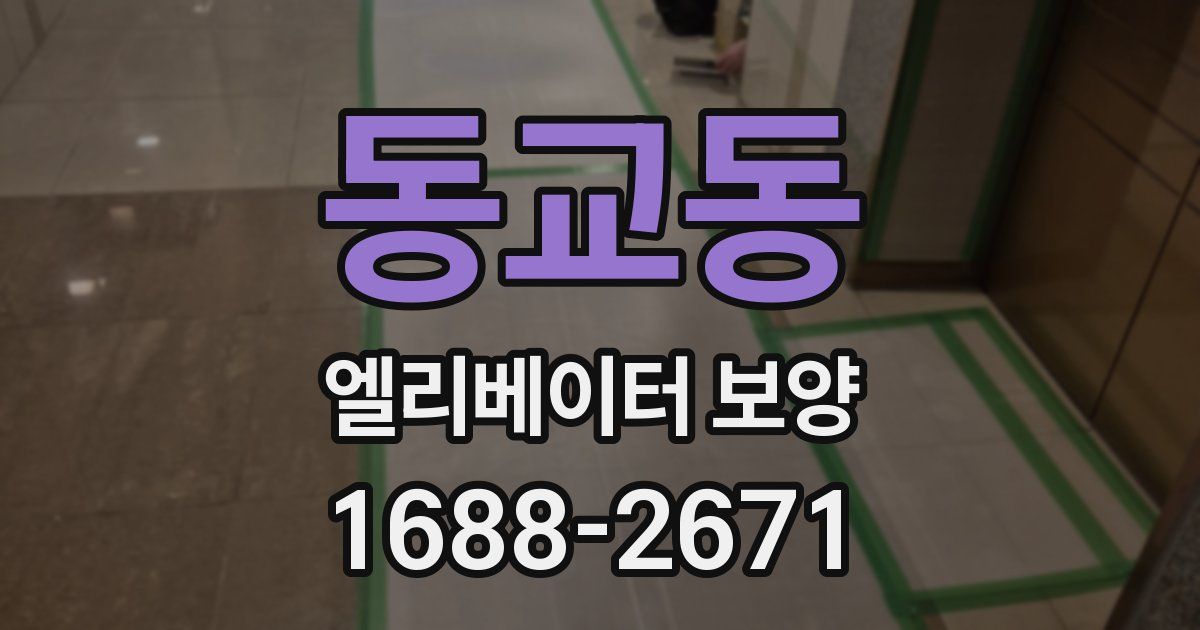 동교동 엘리베이터 보양