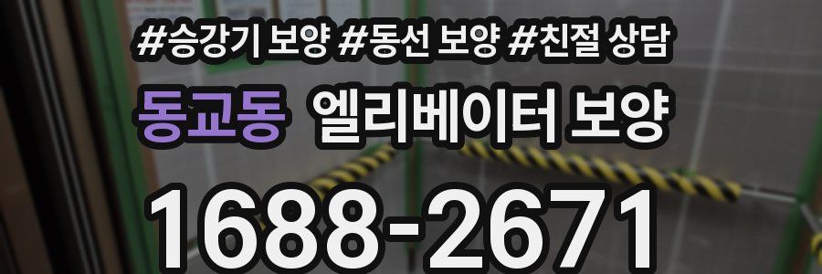 동교동 엘리베이터 보양