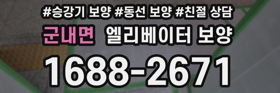 군내면 엘리베이터 보양