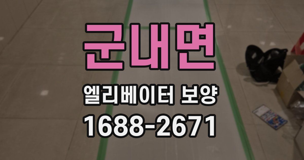 군내면 엘리베이터 보양