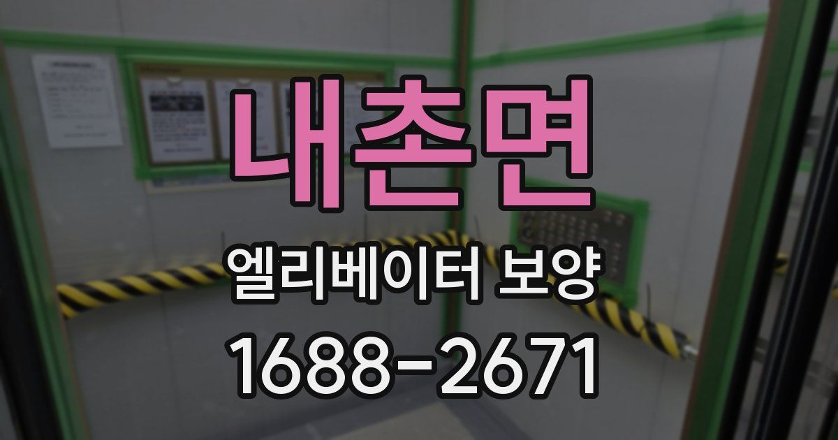 내촌면 엘리베이터 보양