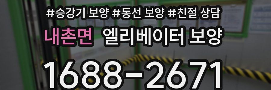 내촌면 엘리베이터 보양