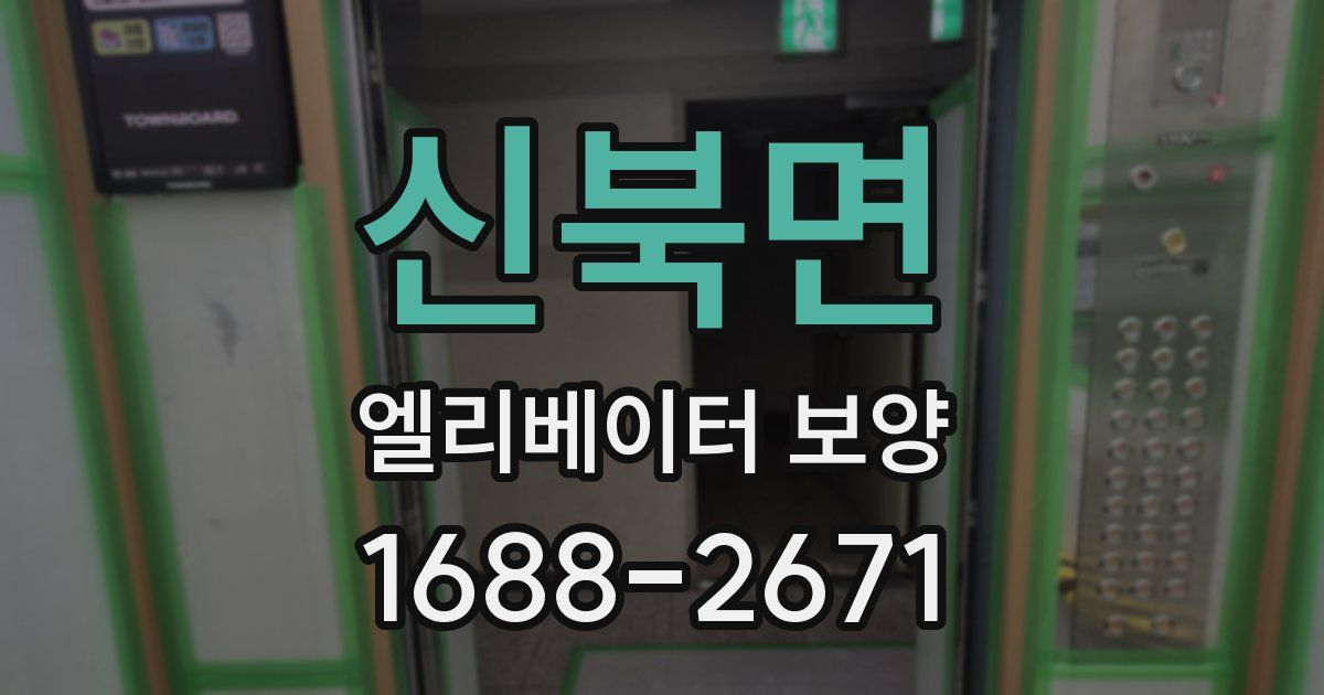 신북면 엘리베이터 보양
