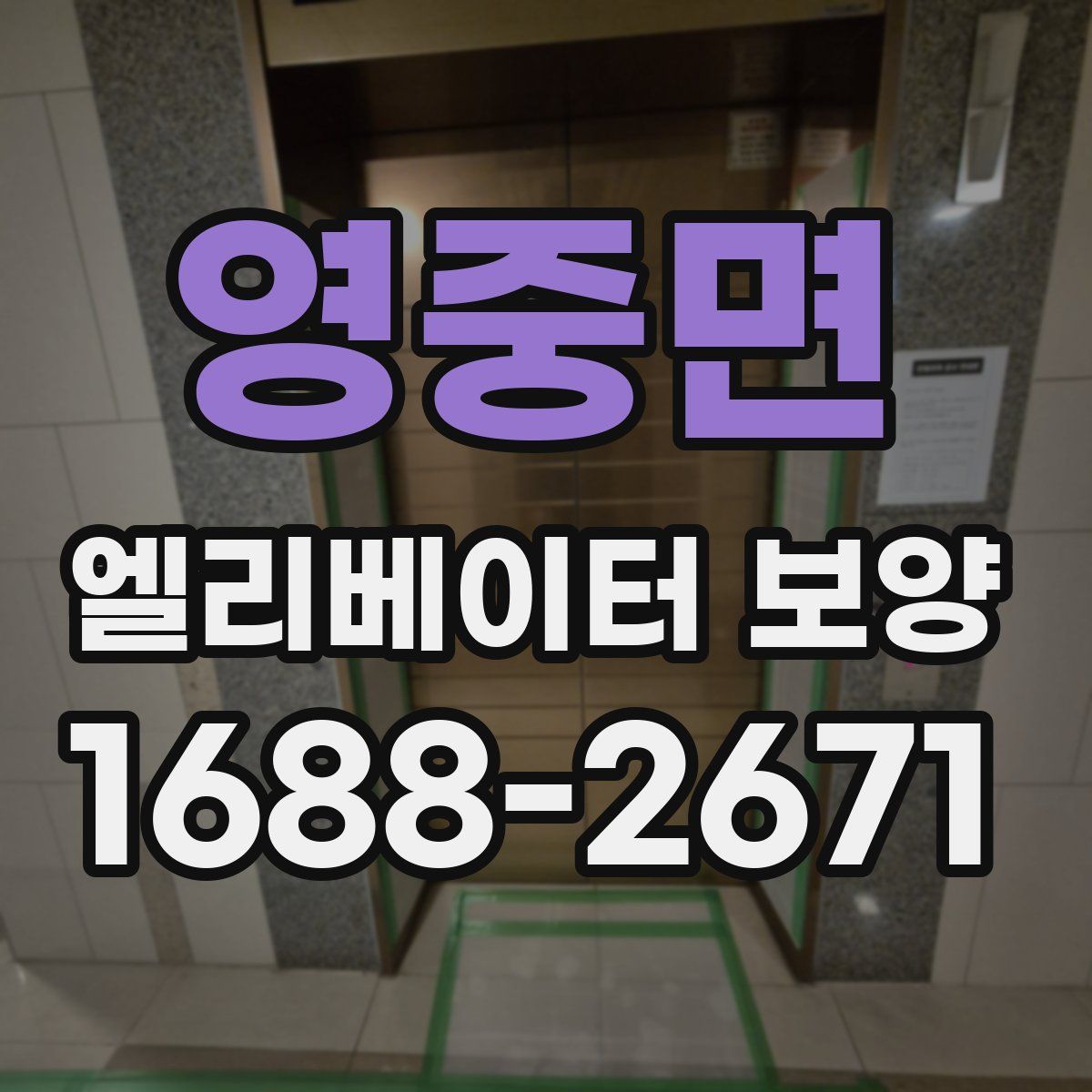 영중면 엘리베이터 보양