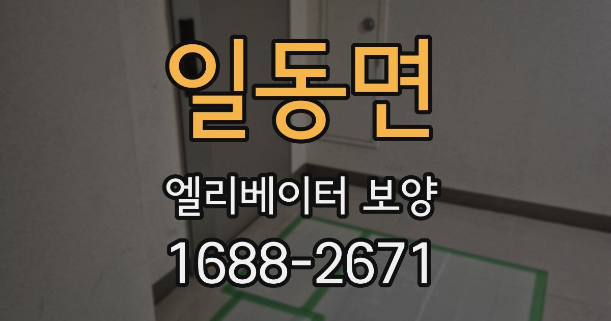일동면 엘리베이터 보양